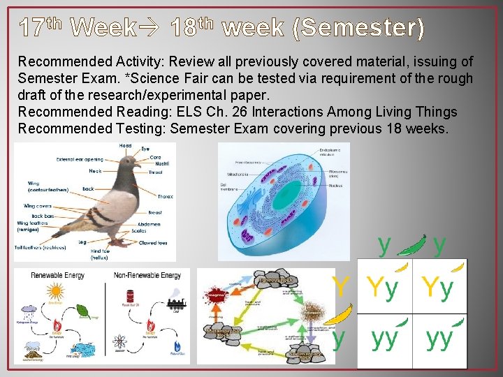 17 th Week 18 th week (Semester) Recommended Activity: Review all previously covered material,