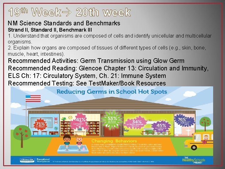 19 th Week 20 th week NM Science Standards and Benchmarks Strand II, Standard