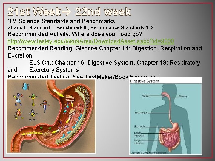 21 st Week 22 nd week NM Science Standards and Benchmarks Strand II, Standard