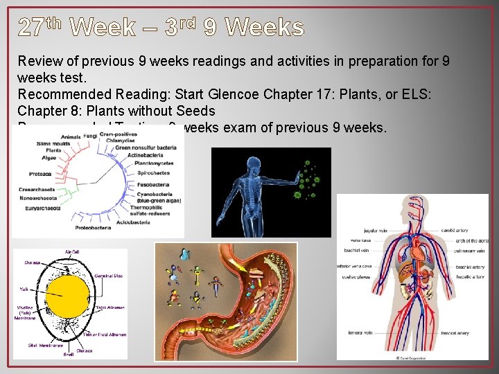 27 th Week – 3 rd 9 Weeks Review of previous 9 weeks readings