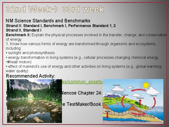32 nd Week 33 rd week NM Science Standards and Benchmarks Strand II: Standard
