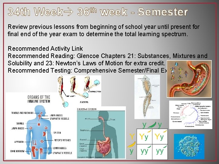 34 th Week 36 th week - Semester Review previous lessons from beginning of