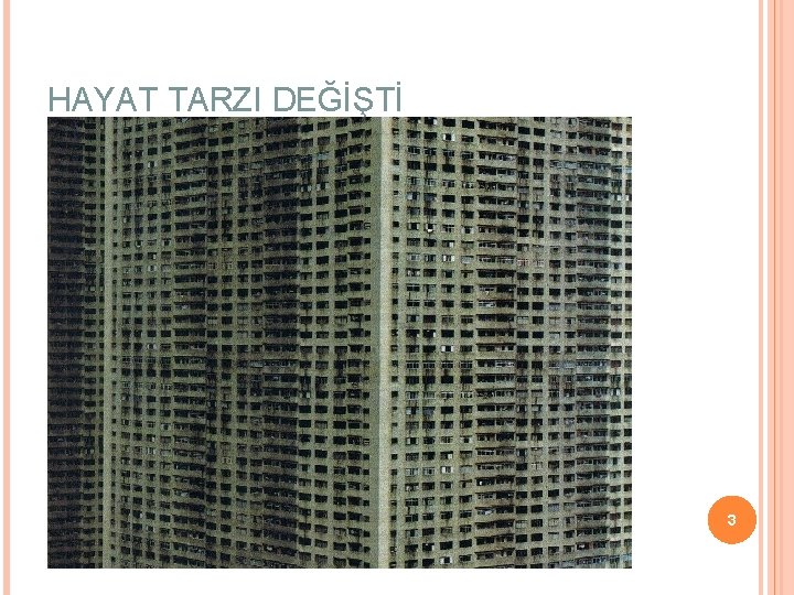 HAYAT TARZI DEĞİŞTİ 3 