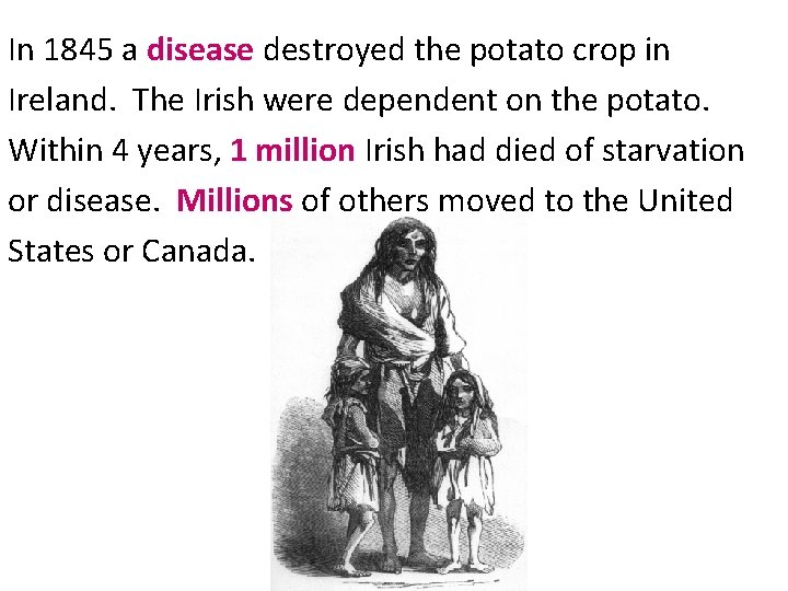 In 1845 a disease destroyed the potato crop in Ireland. The Irish were dependent