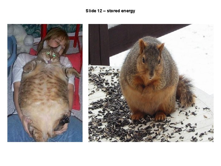 Slide 12 – stored energy 