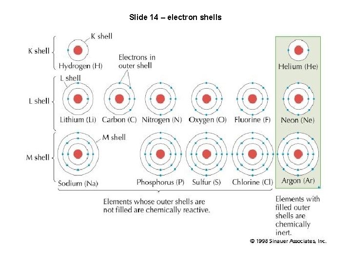 Slide 14 – electron shells 