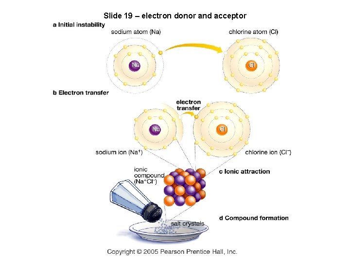 Slide 19 – electron donor and acceptor 