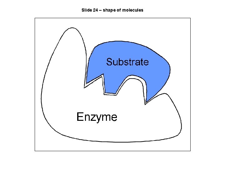 Slide 24 – shape of molecules 