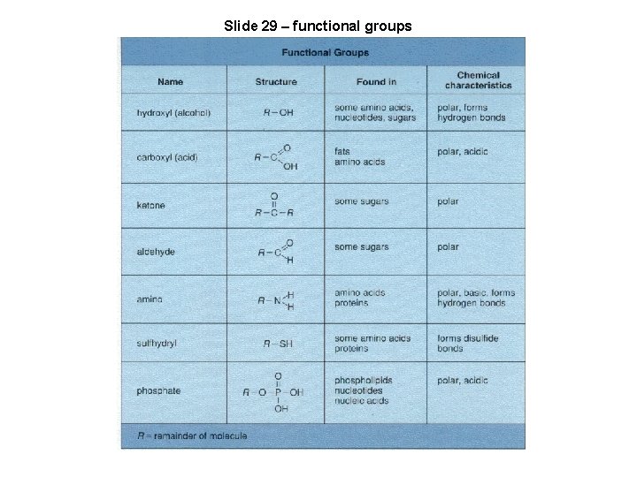 Slide 29 – functional groups 
