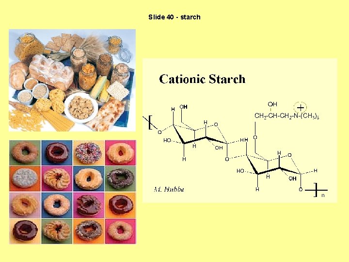 Slide 40 - starch 