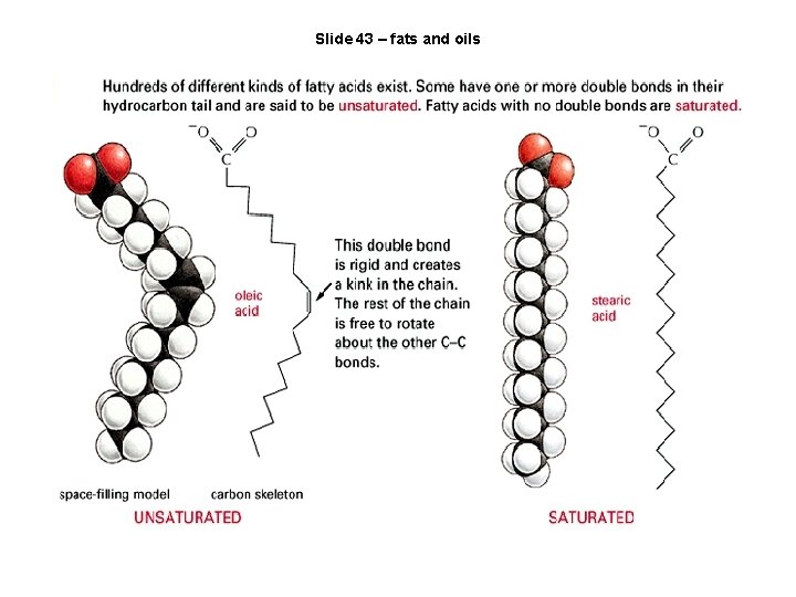 Slide 43 – fats and oils 