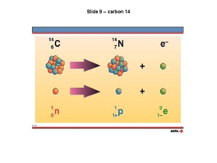 Slide 9 – carbon 14 