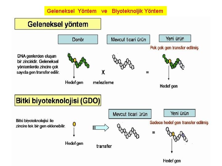 Geleneksel Yöntem ve Biyoteknoljik Yöntem 