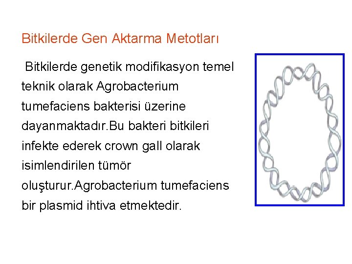 Bitkilerde Gen Aktarma Metotları Bitkilerde genetik modifikasyon temel teknik olarak Agrobacterium tumefaciens bakterisi üzerine