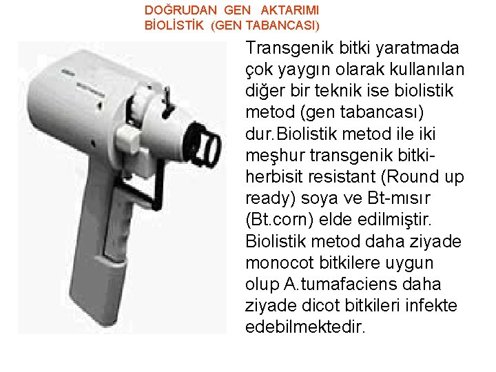 DOĞRUDAN GEN AKTARIMI BİOLİSTİK (GEN TABANCASI) Transgenik bitki yaratmada çok yaygın olarak kullanılan diğer