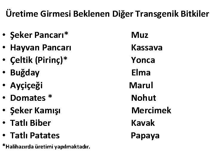 Üretime Girmesi Beklenen Diğer Transgenik Bitkiler • • • Şeker Pancarı* Hayvan Pancarı Çeltik