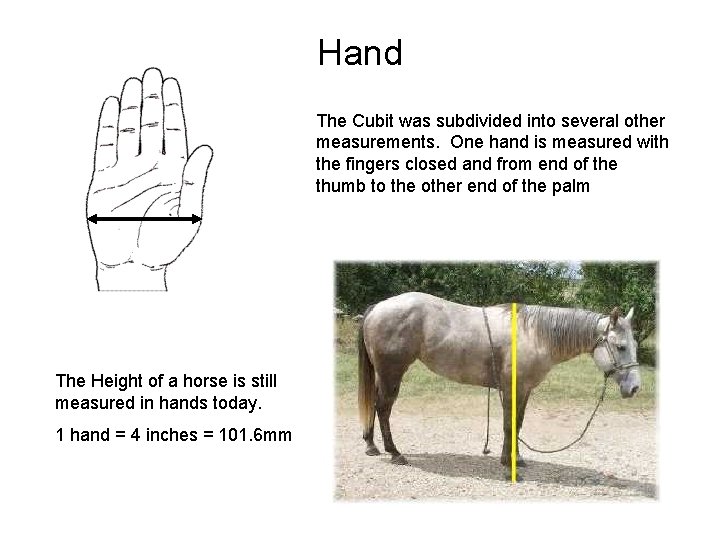 Hand The Cubit was subdivided into several other measurements. One hand is measured with