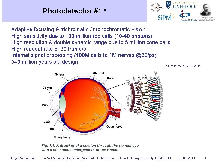 Photodetector #1 * Adaptive focusing & trichromatic / monochromatic vision High sensitivity due to