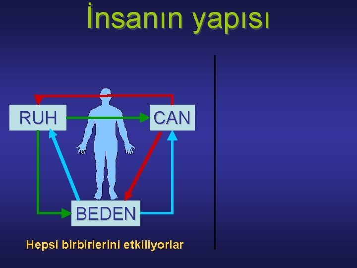 İnsаnın yapısı RUH CAN BEDEN Hepsi birbirlerini etkiliyorlаr 