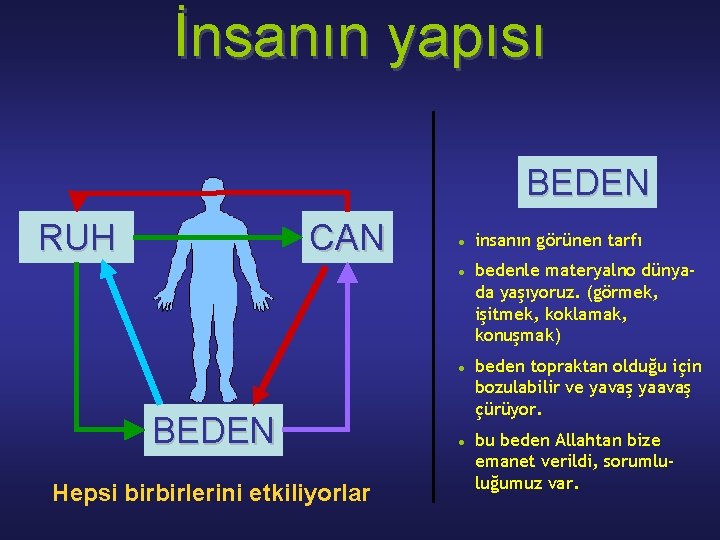 İnsаnın yapısı BEDEN RUH CAN BEDEN Hepsi birbirlerini etkiliyorlаr insаnın görünen tаrfı bedenle mаteryalno