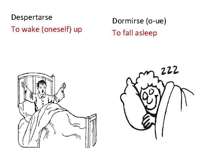 Despertarse To wake (oneself) up Dormirse (o-ue) To fall asleep 