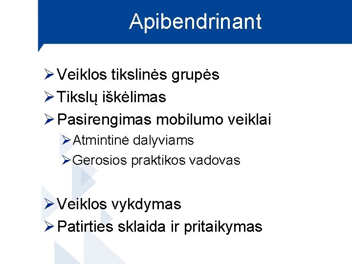 Apibendrinant Ø Veiklos tikslinės grupės Ø Tikslų iškėlimas Ø Pasirengimas mobilumo veiklai ØAtmintinė dalyviams