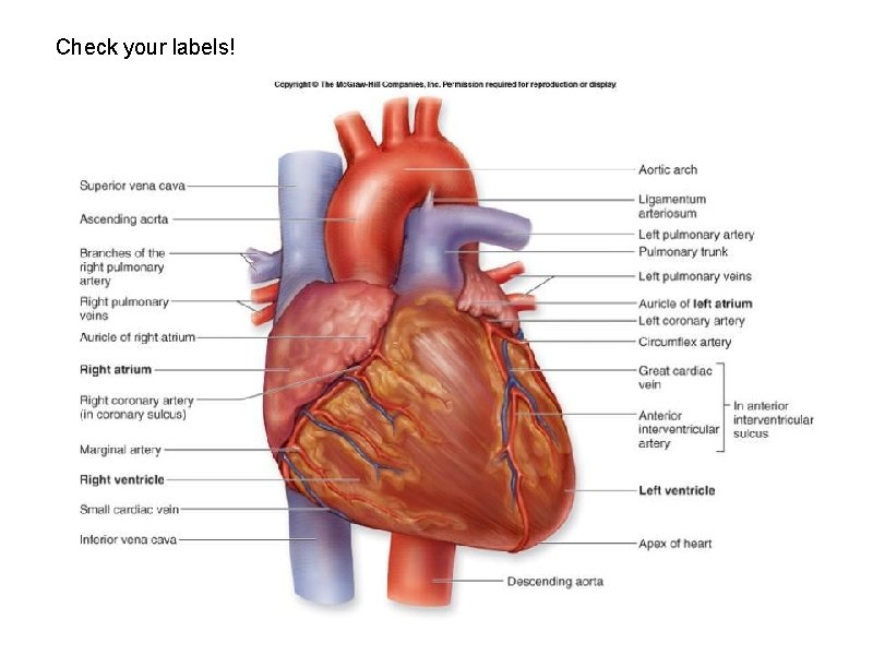 Check your labels! 