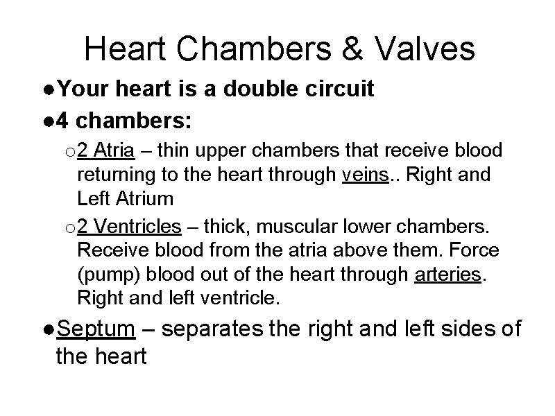 Heart Chambers & Valves ●Your heart is a double circuit ● 4 chambers: o