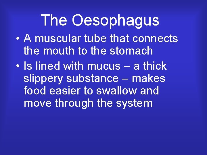 The Oesophagus • A muscular tube that connects the mouth to the stomach •