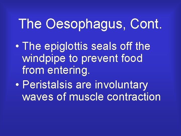 The Oesophagus, Cont. • The epiglottis seals off the windpipe to prevent food from