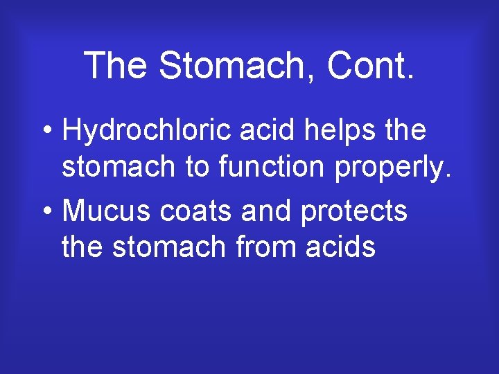 The Stomach, Cont. • Hydrochloric acid helps the stomach to function properly. • Mucus