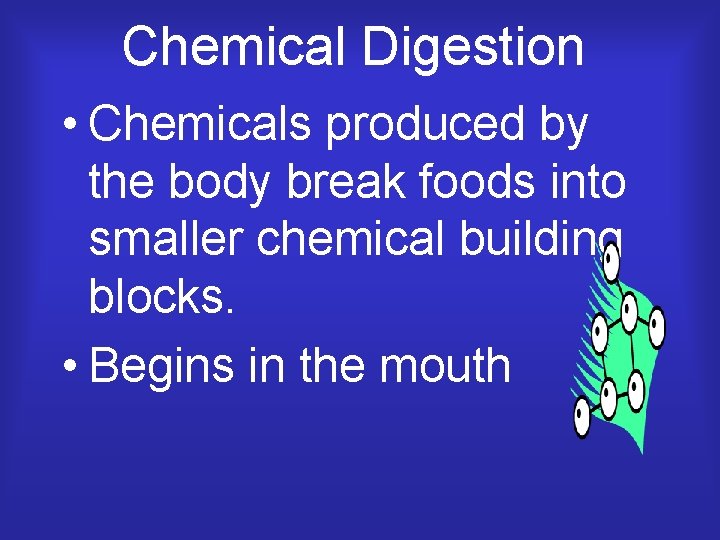 Chemical Digestion • Chemicals produced by the body break foods into smaller chemical building