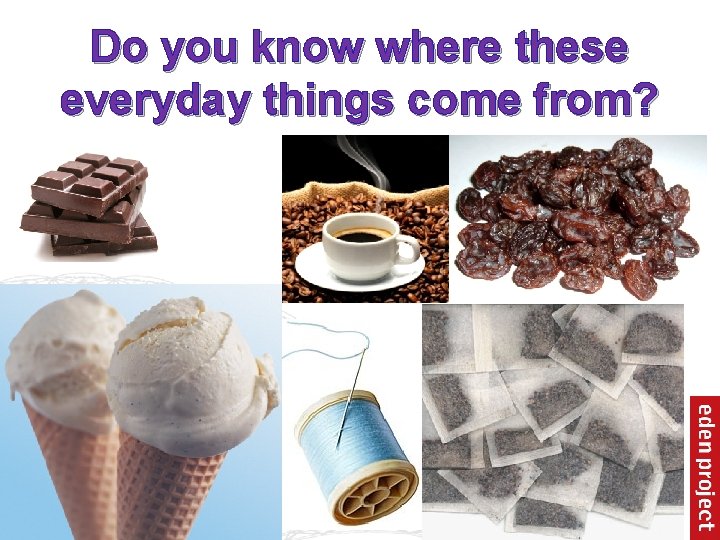 Do you know where these everyday things come from? 