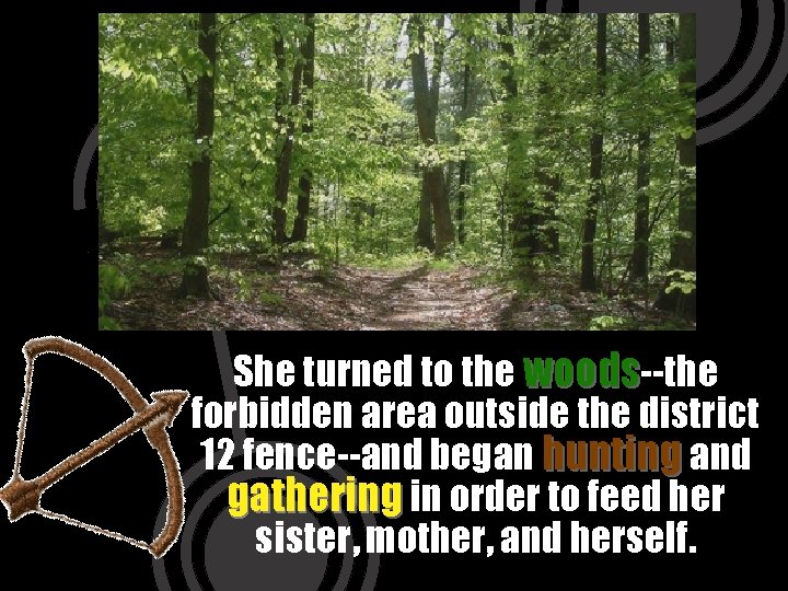 She turned to the woods--the forbidden area outside the district 12 fence--and began hunting