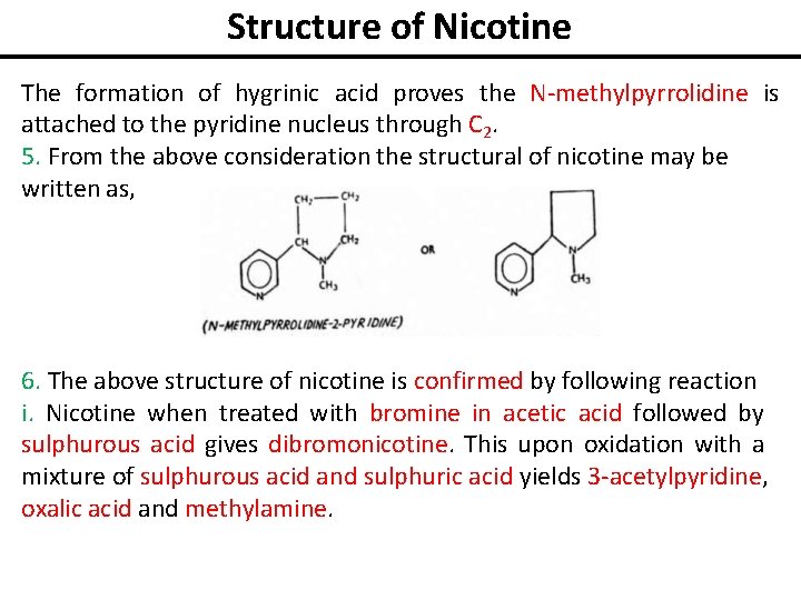 Structure of Nicotine The formation of hygrinic acid proves the N-methylpyrrolidine is attached to
