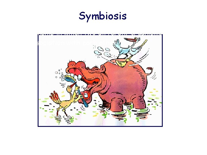 Symbiosis a relationship in which two different organisms live in close association with each