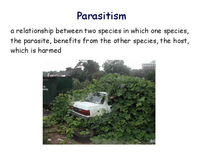 Parasitism a relationship between two species in which one species, the parasite, benefits from