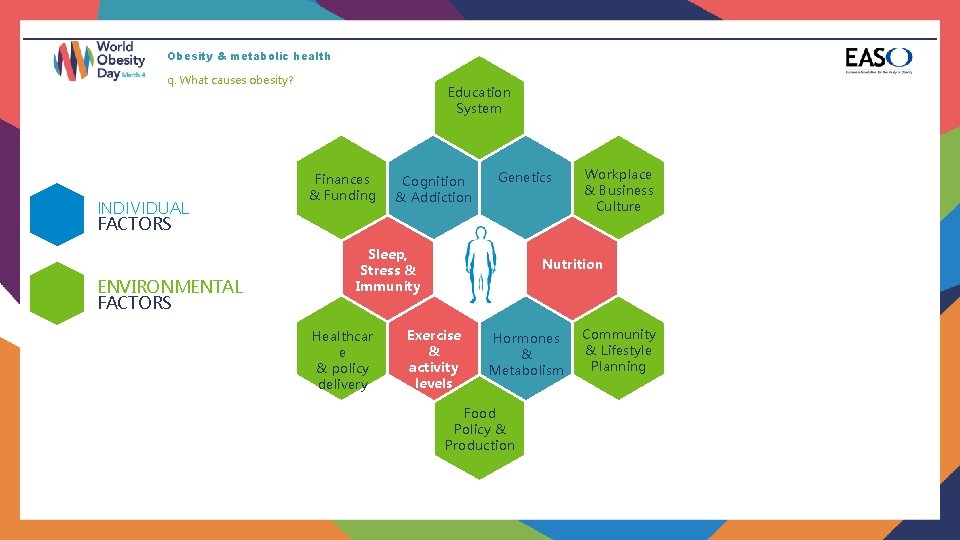Obesity & metabolic health q. What causes obesity? INDIVIDUAL FACTORS ENVIRONMENTAL FACTORS Education System