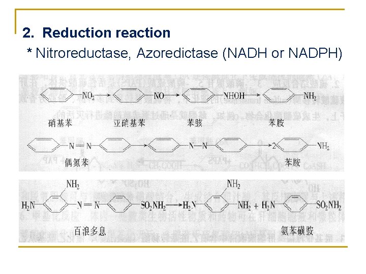 2. Reduction reaction * Nitroreductase, Azoredictase (NADH or NADPH) 