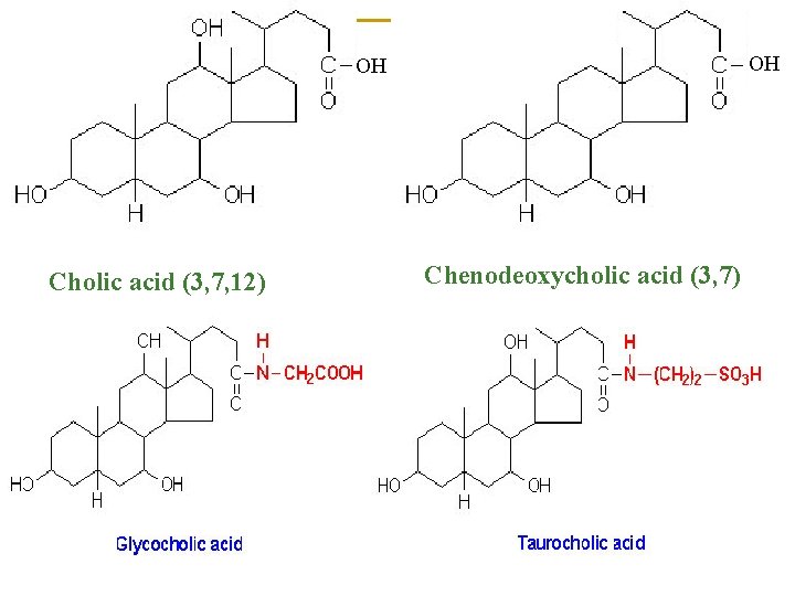 OH OH Cholic acid (3, 7, 12) Chenodeoxycholic acid (3, 7) 