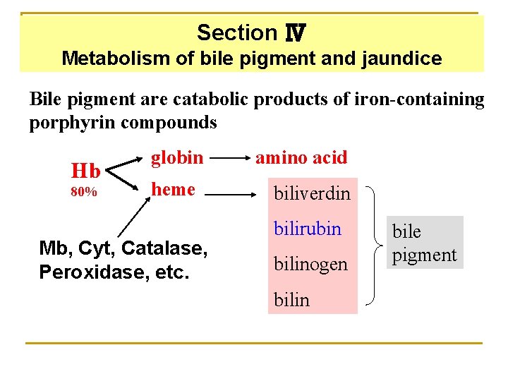 Section Ⅳ Metabolism of bile pigment and jaundice Bile pigment are catabolic products of
