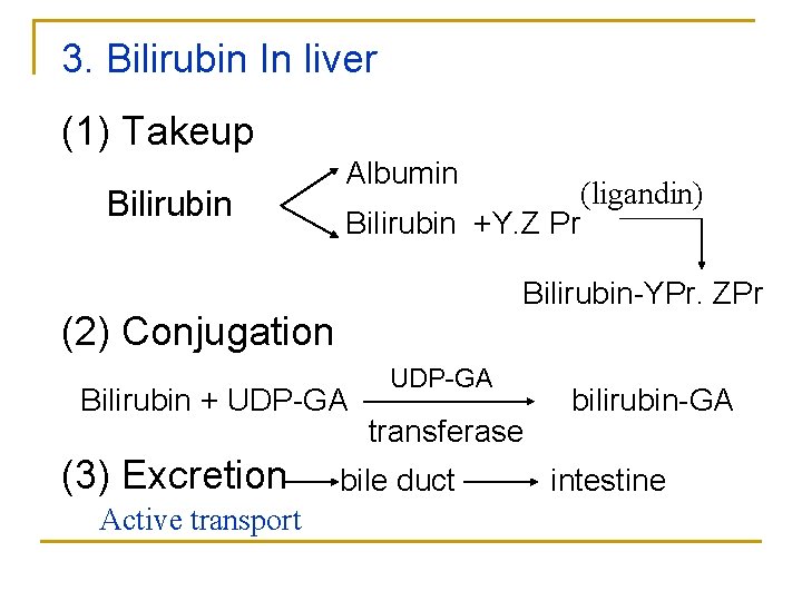 3. Bilirubin In liver (1) Takeup Bilirubin Albumin Bilirubin +Y. Z Pr Bilirubin-YPr. ZPr