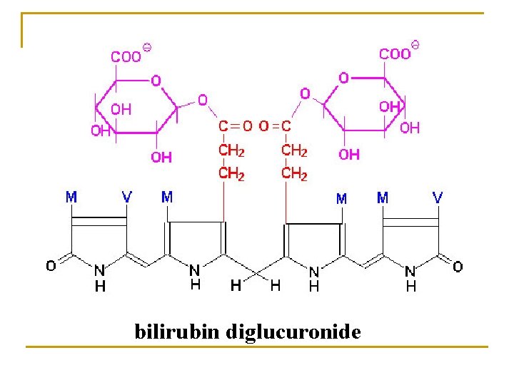 bilirubin diglucuronide 