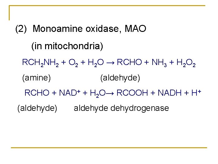 (2) Monoamine oxidase, MAO (in mitochondria) RCH 2 NH 2 + O 2 +