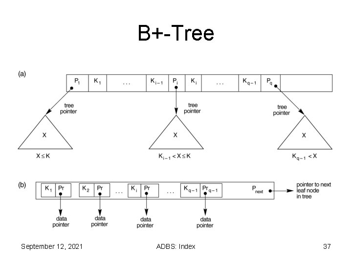 B+-Tree September 12, 2021 ADBS: Index 37 B+-Tree September 12, 2021 ADBS: Index 37