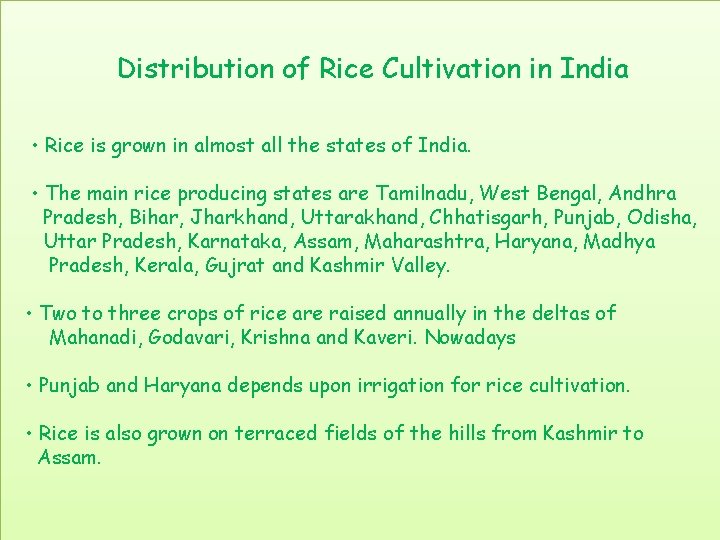 Distribution of Rice Cultivation in India • Rice is grown in almost all the