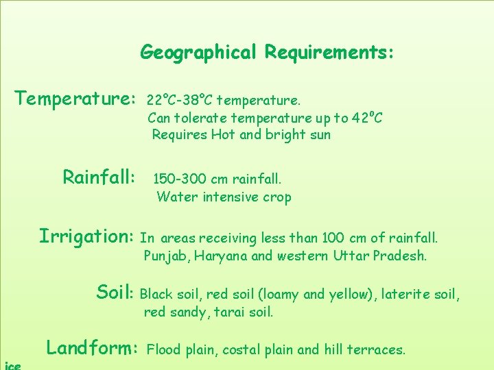 Geographical Requirements: Temperature: Rainfall: Irrigation: 22°C-38°C temperature. Can tolerate temperature up to 42⁰C Requires