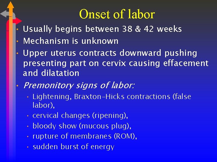 Onset of labor • Usually begins between 38 & 42 weeks • Mechanism is