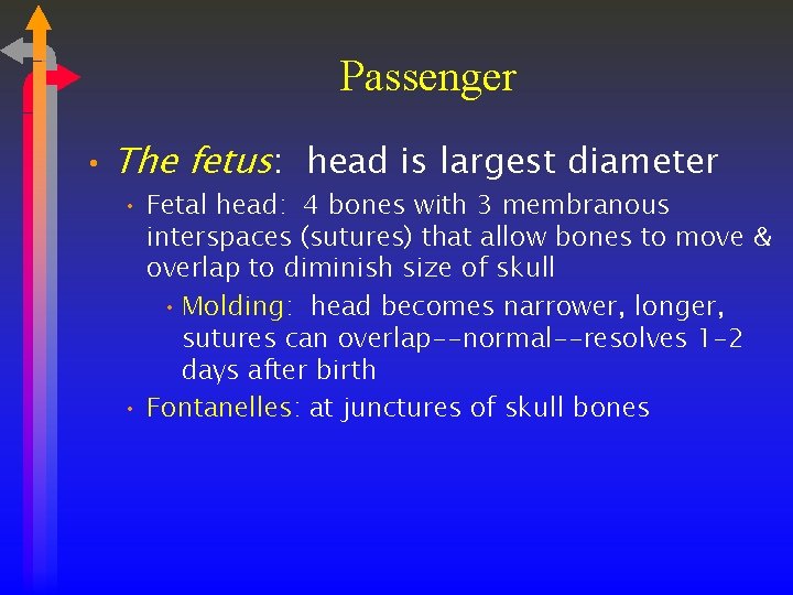 Passenger • The fetus: head is largest diameter • Fetal head: 4 bones with
