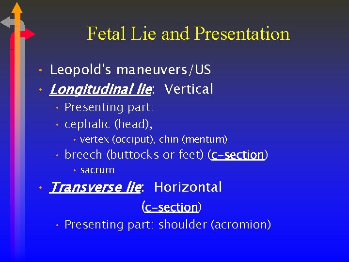 Fetal Lie and Presentation • Leopold's maneuvers/US • Longitudinal lie: Vertical • Presenting part: